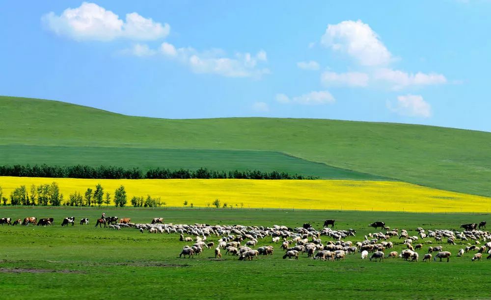 内蒙古,草原文明的辉煌篇章