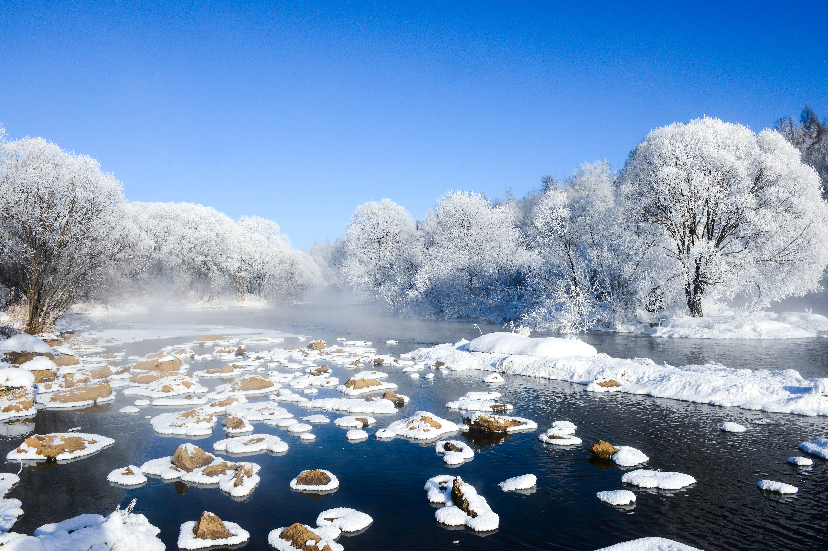 黑龙江冰雪童话之旅,北国情韵探秘🌨️
