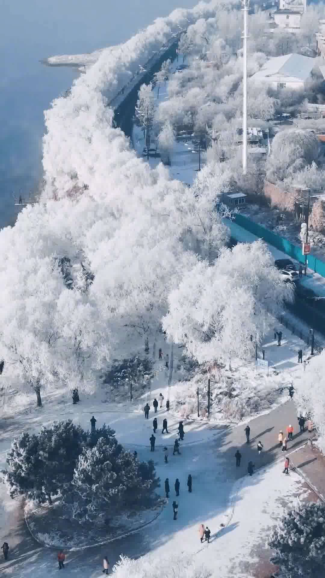 吉林之旅，我的心得与感悟